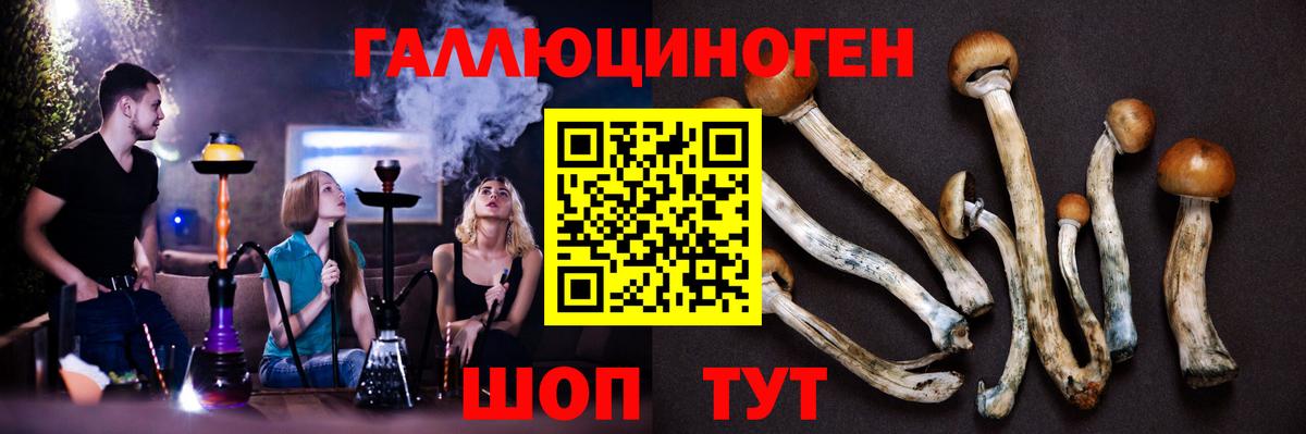 Галлюциногенные грибы GOLDEN TEACHER  Вход с VPN  Тейково 