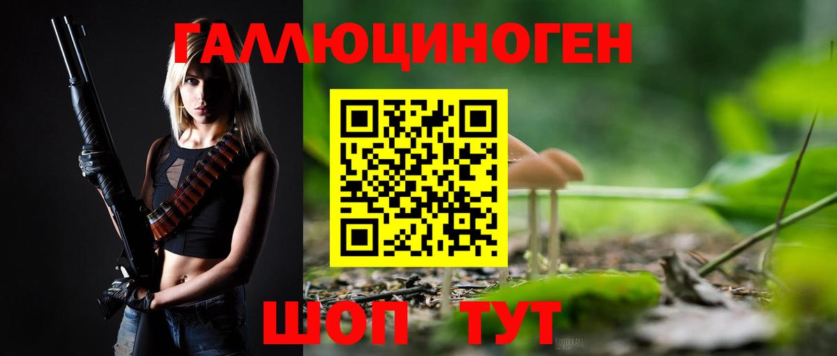Псилоцибиновые грибы GOLDEN TEACHER Тейково